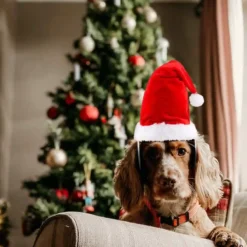 Set 2 Cappello Da Babbo Natale Per Animali Domestici, Regolabili, Idea Regalo -Offerte Playmobil || Villeroy & Boch || Ravensburger Negozio set 2 cappello da babbo natale per animali domestici 2